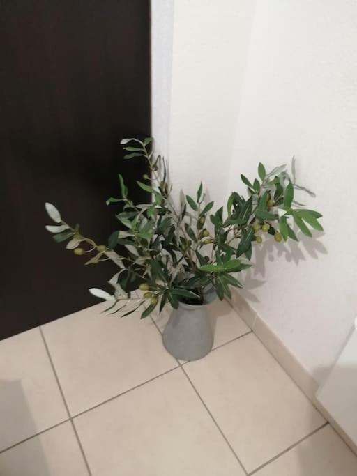 Olonzac Le Soleil D Eugenie Appartement Dans Residence Avec Piscine Commune Pres De Carcassonne מראה חיצוני תמונה