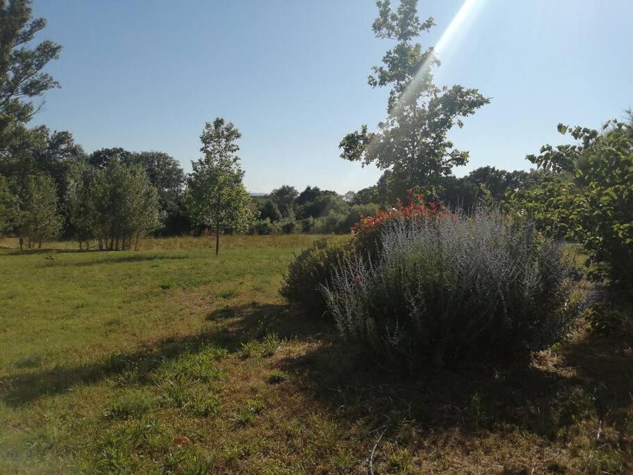 Olonzac Le Soleil D Eugenie Appartement Dans Residence Avec Piscine Commune Pres De Carcassonne מראה חיצוני תמונה