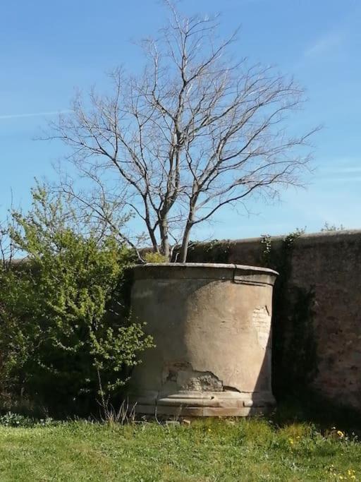 Olonzac Le Soleil D Eugenie Appartement Dans Residence Avec Piscine Commune Pres De Carcassonne מראה חיצוני תמונה