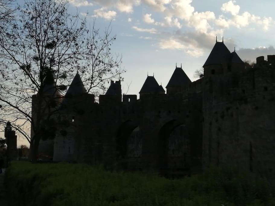 Olonzac Le Soleil D Eugenie Appartement Dans Residence Avec Piscine Commune Pres De Carcassonne מראה חיצוני תמונה